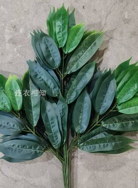 仿真树叶芒果叶苹果玉叶塑料过胶假树枝树叶绿叶户外装饰叶榴莲叶