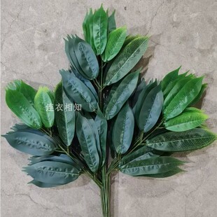 仿真树叶芒果叶苹果玉叶塑料过胶假树枝树叶绿叶户外装饰叶榴莲叶