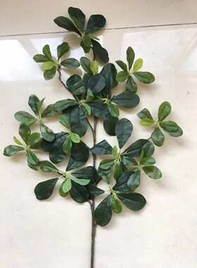仿真树叶七星叶杨梅叶插树园林绿景工程婚庆装饰金钱叶福禄桐树叶