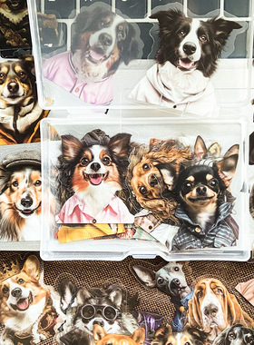 50张卡通狗狗Funny Dog Portraits贴纸PET透明手机壳DIY装饰贴画