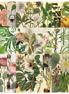 30张新款复古微醺绿书签创意高级感手账本diy学生用书籍装饰卡