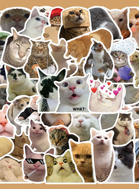 50张搞笑搞怪猫咪贴纸笔记本电脑手账本水杯手机壳装饰DIY贴画