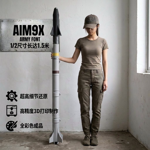 大型AIM9X响尾蛇导弹1:2-空空导弹模型仿真军迷军事收藏摆件3d打