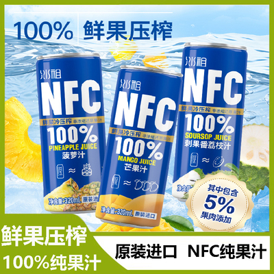 越南进口果汁饮料菠萝汁