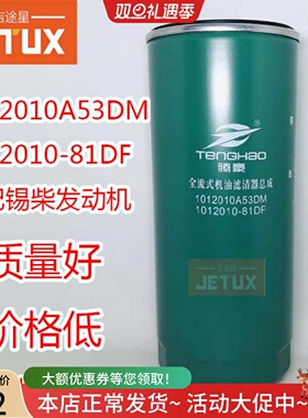 1012010A53DM机滤1012010-81DF 适用解放J6P 420 390 JX1023A