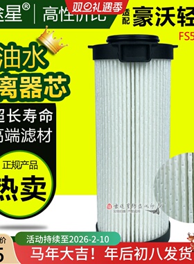 FS53060柴油水分离器滤芯LG9704552623/1适配重汽豪沃轻卡国五/六