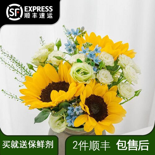 向日葵蓝星花白色多头绿灵草