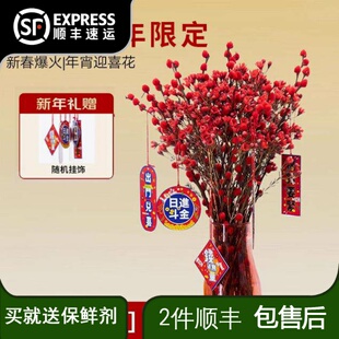冬青澳洲平头腊梅鲜花云南基地直发家用水养鲜花束春节喜庆花斗南