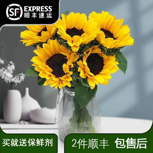 鲜花水养向日葵教师节