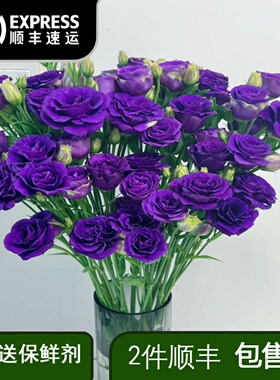 深紫色洋桔梗鲜花家用插花水养花束无刺玫瑰鲜切云南基地直发