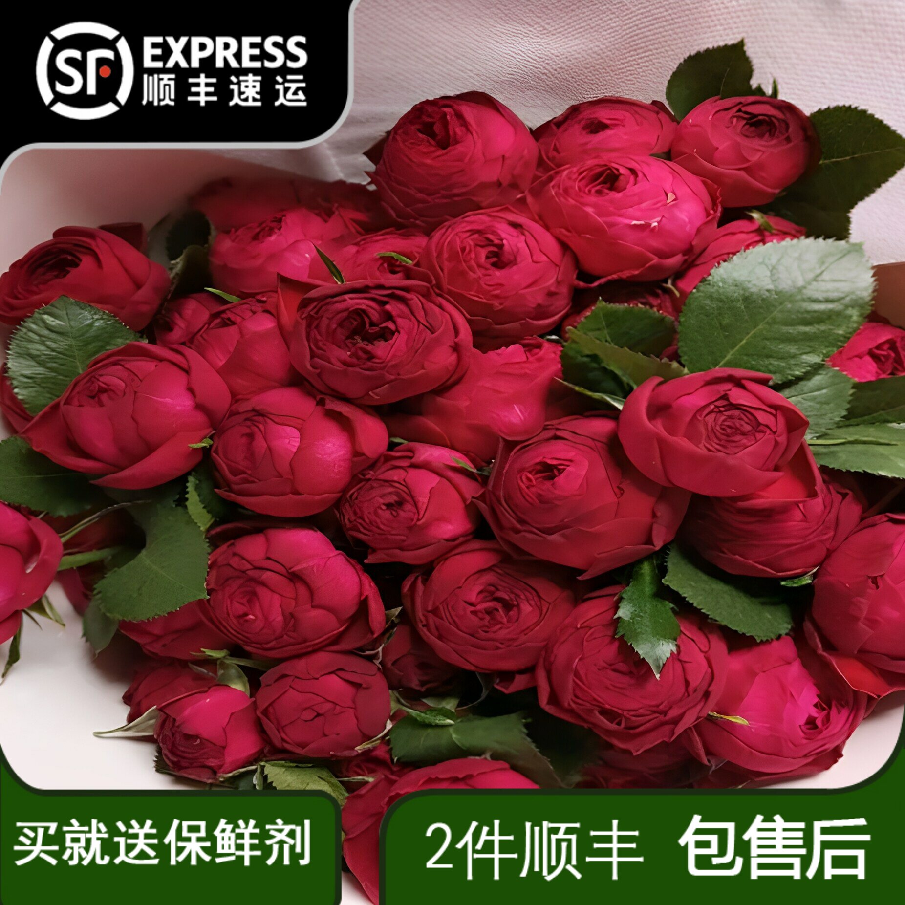 多头红蕾丝玫瑰泡泡稀有云南昆明基地直发鲜切花室内瓶插花图片