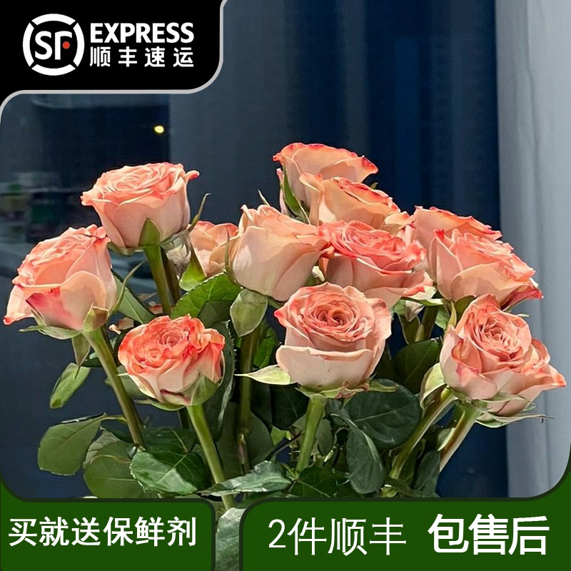 卡布奇诺玫瑰云南昆明鲜花直发