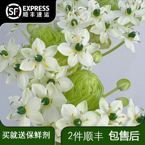 天鹅绒昆明斗南婚礼鲜花