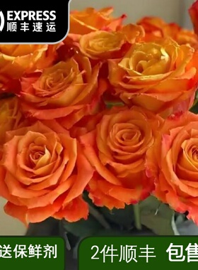 活泼的橙色系欢乐颂玫瑰花鲜花云南直发奥斯汀花型玫瑰水养鲜切花