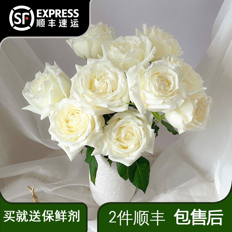 玫瑰花云南直发向日葵毕业图片