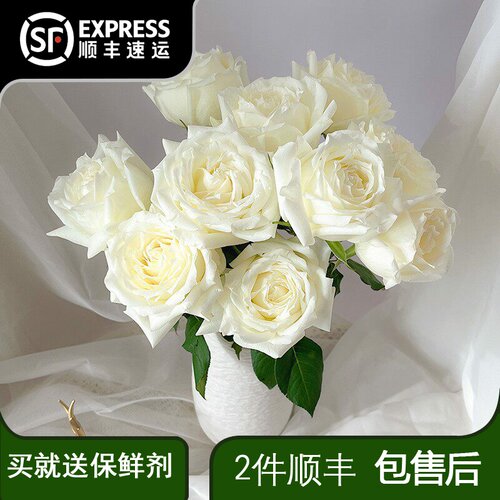 玫瑰花云南直发向日葵毕业