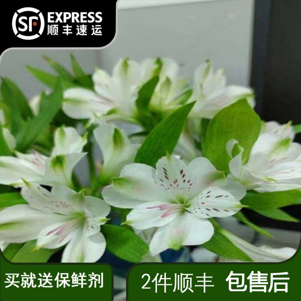 水仙百合白色六出花鲜切花水养家庭插花花材家用超长花期图片