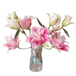 重瓣百合多头百合鲜花云南昆明基地直发办公室家用商务插花水养花