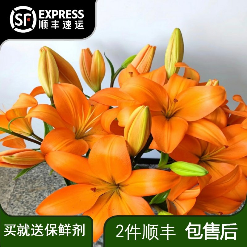 亚百合橙色梦想单瓣百合鲜花云南基地直发室内水养插花无香,鲜花速递/花卉仿真/绿植园艺,花材,淘宝优惠券,粉丝福利购,淘宝优惠卷