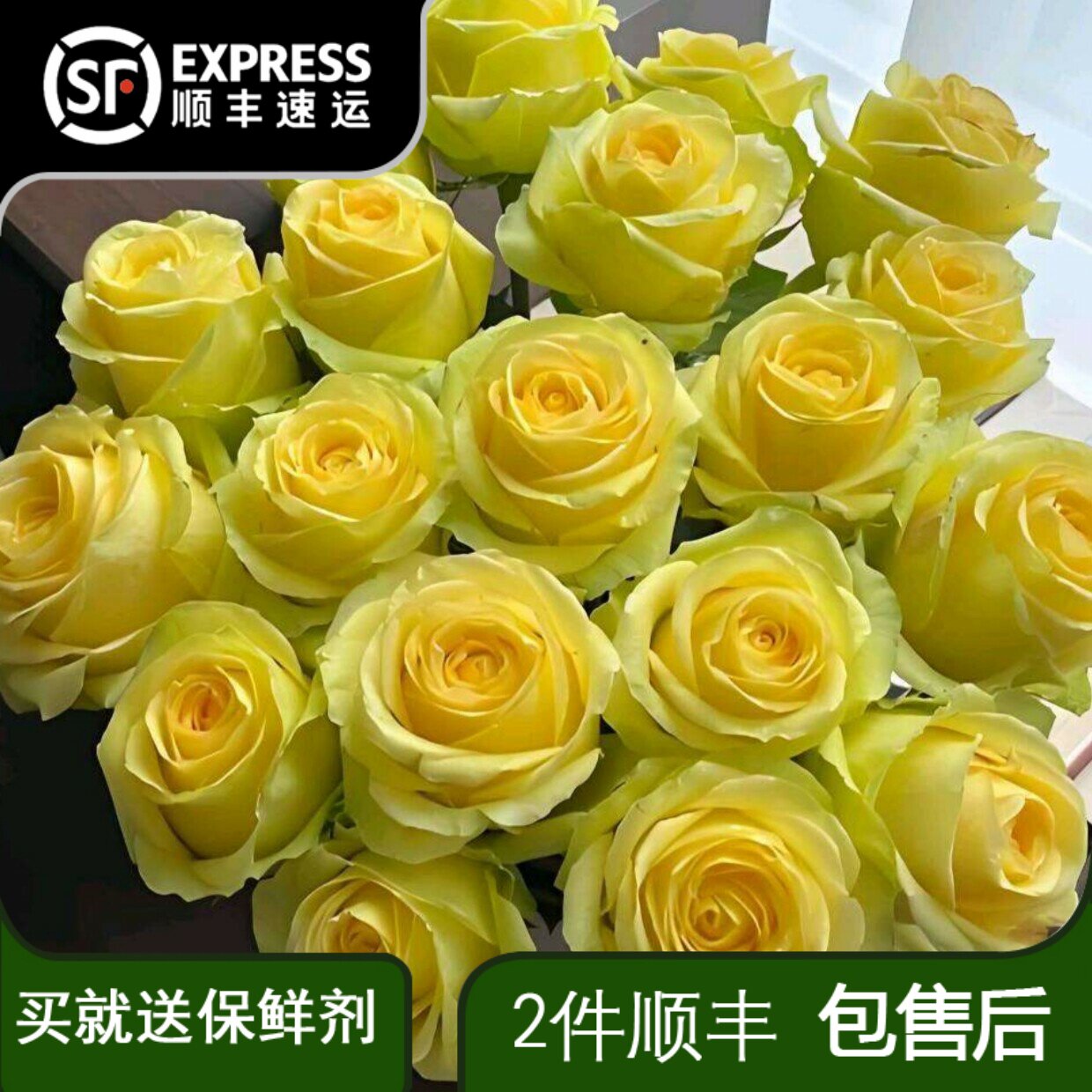 浪漫沙滩玫瑰鲜花云南鲜切花基地直发家庭展厅插花黄玫瑰花材图片
