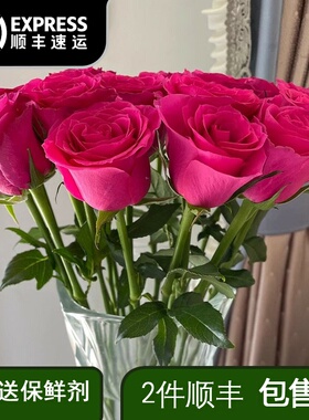 弗洛伊德玫瑰鲜花云南昆明斗南基地花卉直发鲜切花水养家用插花