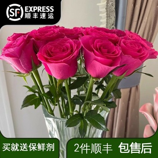 弗洛伊德玫瑰鲜花云南昆明斗南基地花卉直发鲜切花水养家用插花