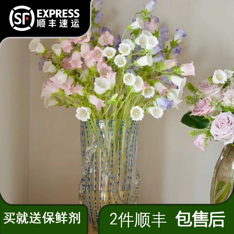 风铃草家庭办公室鲜花超耐养图片
