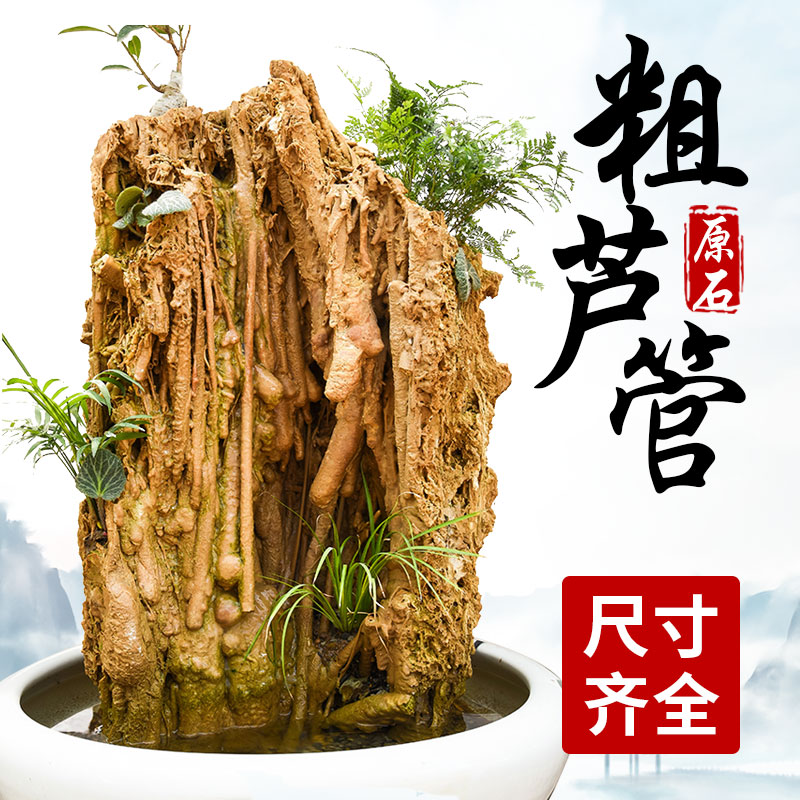 石光小站精品天然吸水石山水盆景芦管石上水石假山流水钟乳石直播