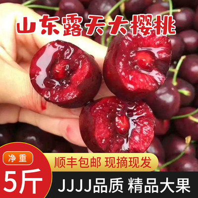 山东樱桃5斤车厘子3j4j泰安烟台