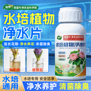 英国水培植物净水片除臭杀菌除虫鲜花花卉保鲜剂除藻专用净化水质