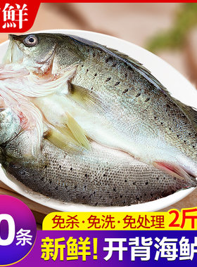 新鲜海鲈鱼开背免杀免洗商用顺丰