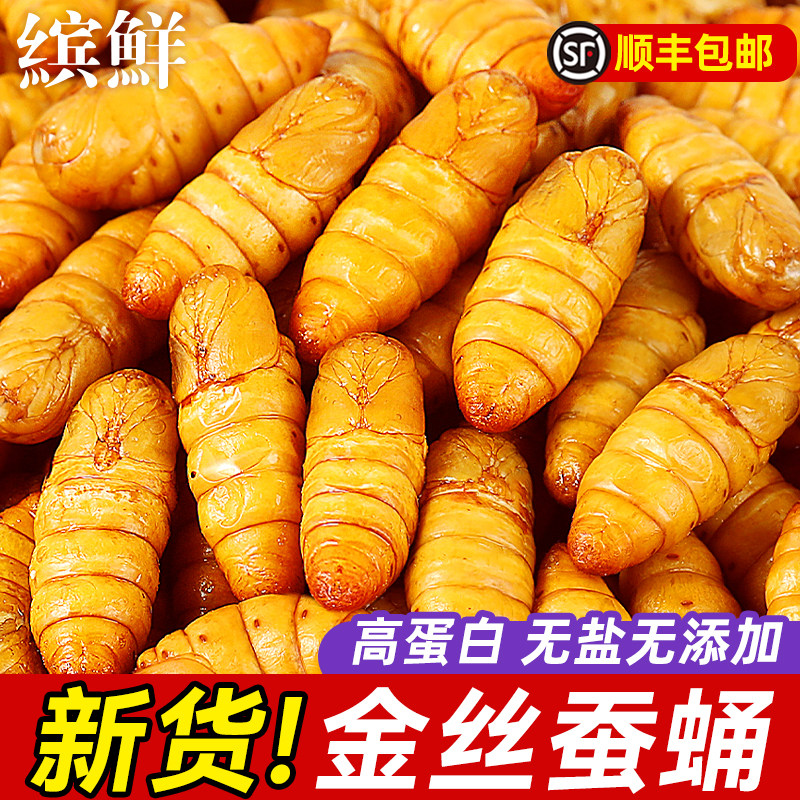 新鲜金丝蚕蛹鲜活冷冻商用烧烤特级山东特产农家桑蚕非蚕蛹干即食