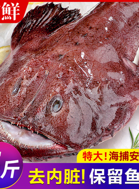 安康鱼新鲜蛤蟆鱼魔鬼鱼鲜活深海鱼大嘴鱼无小刺鱼肝鱼肚海鲜水产