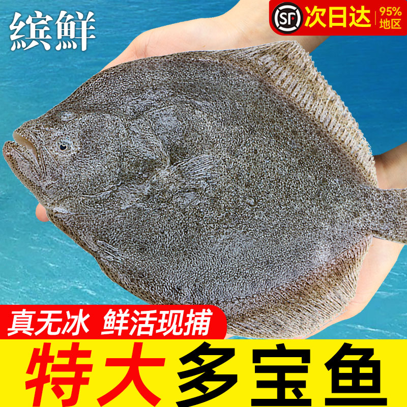 新鲜无冰超大多宝鱼八宝鱼偏口鱼鲽鱼海鱼海鲜水产比目鱼菱平鱼