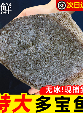 新鲜特大多宝鱼八宝鱼偏口鱼鲽鱼海鱼海鲜水产比目鱼菱平鱼年货