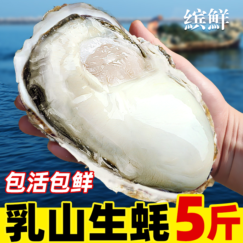 特大乳山生蚝鲜活发货海蛎子5斤
