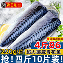 青花鱼挪威进口鲭鱼青花鱼片半成品日式 盐渍新鲜烤青占鱼商用冷冻