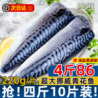 青花魚片挪威220G/片超大4斤89
