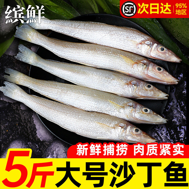 沙丁鱼深海鱼新鲜冷冻小银鱼鲜活海鲜水产烧烤食材面条鱼无小刺