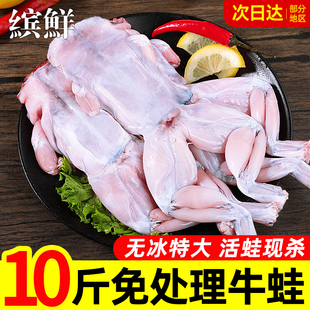 牛蛙鲜活新鲜超大免浆冷冻田鸡青蛙蛤蟆半成品牛蛙块商用火锅食材