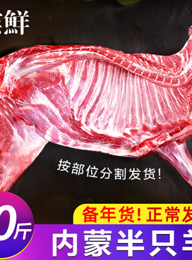生羊肉鲜杀羊腿羊排羊蝎子烤全羊半只羊内蒙古10斤整只年货非礼盒