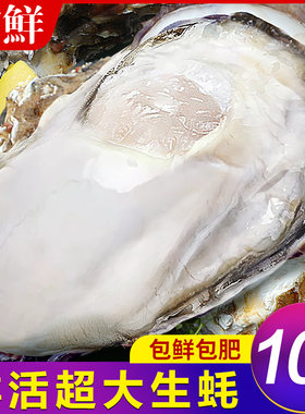 特大乳山生蚝鲜活10新鲜海蛎子5斤带箱海鲜超大牡蛎贝壳即食水产