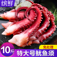 脆口鱿鱼须新鲜章鱼足八爪鱼海鲜超大章鱼须10斤鲜活章鱼爆头腿脚