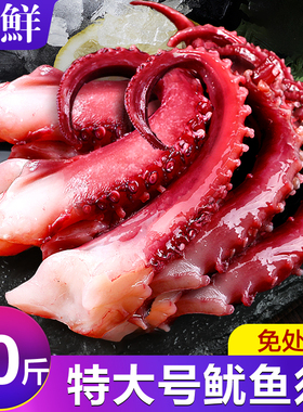 脆口鱿鱼须新鲜章鱼足八爪鱼海鲜超大章鱼须10斤鲜活章鱼爆头腿脚