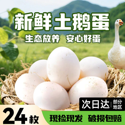 正宗精品土鹅蛋农家散养新鲜