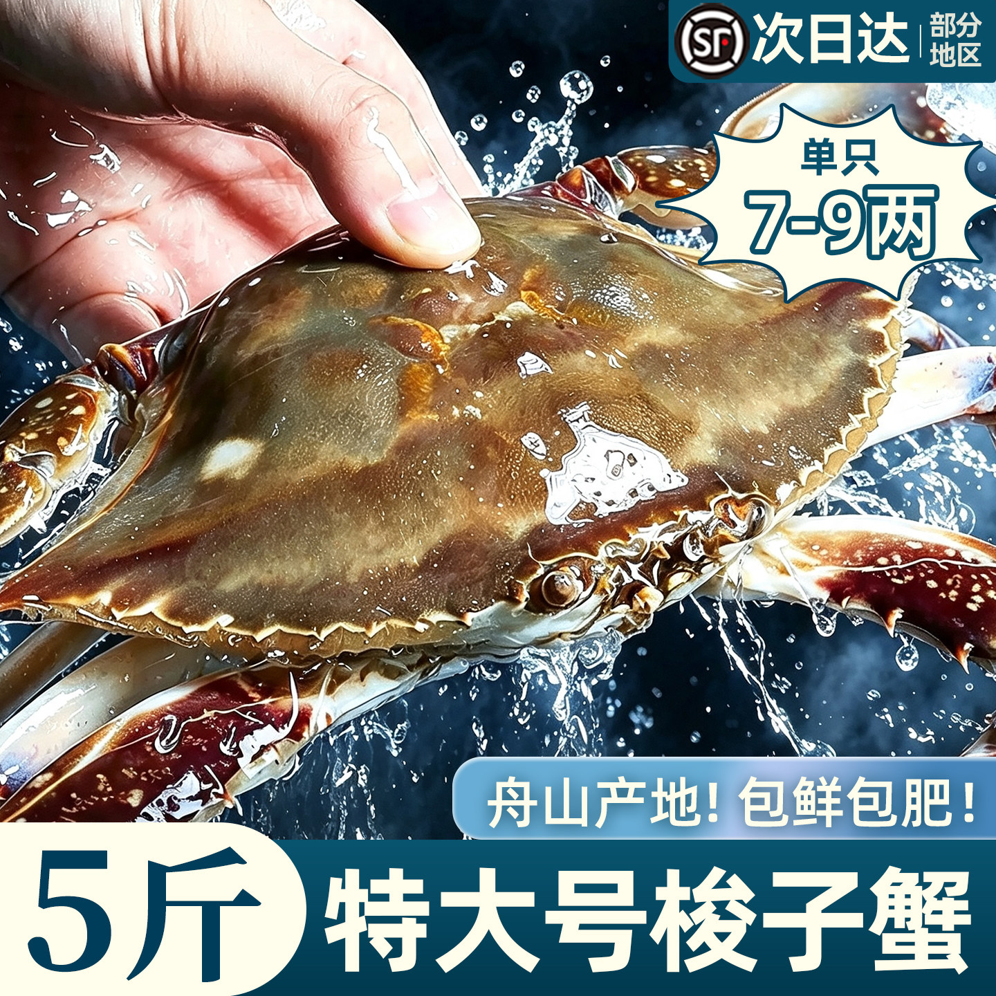 舟山梭子蟹超大!新货!急冻锁鲜