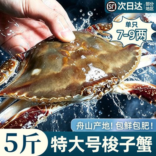 舟山梭子蟹超大！新货！急冻锁鲜