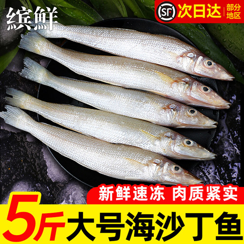 新鲜沙丁鱼肉嫩无小刺