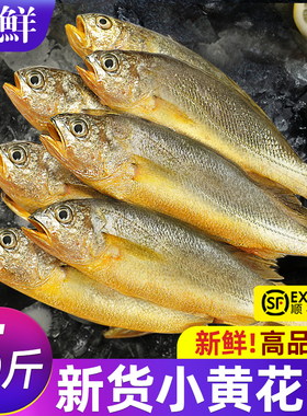 小黄鱼新鲜冷冻海鲜真正海鱼鲜活黄花鱼生鲜冰鲜深海水产商用烧烤