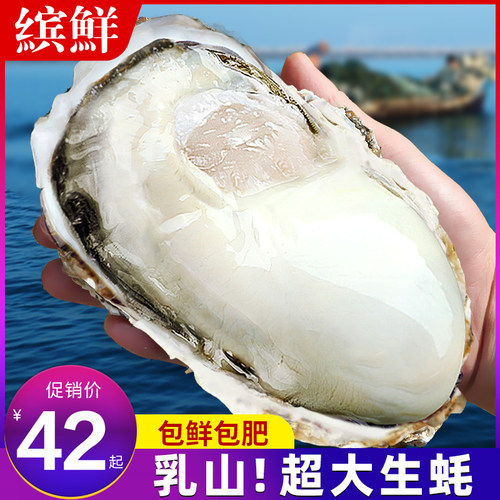 缤鲜鲜活特大乳山生蚝鲜活海蛎子